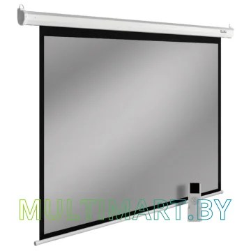 Проекционный экран CACTUS SIlverMotoExpert 138x220 (CS-PSSME-220X138-DG)